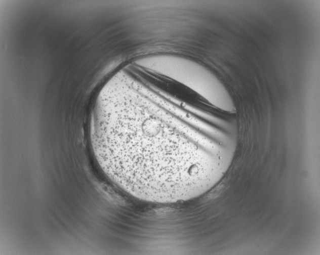 X0000061760158200512161753