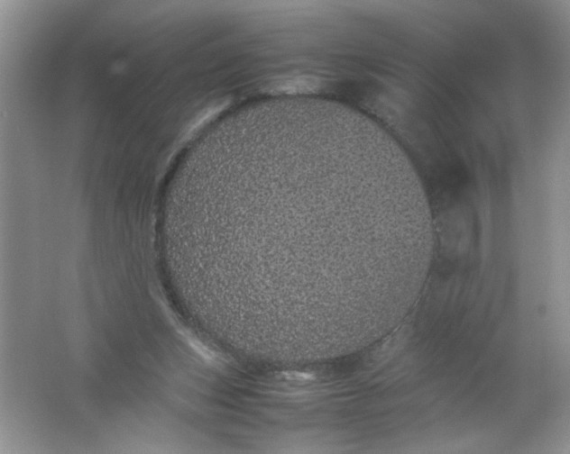 X0000061760159200512161753