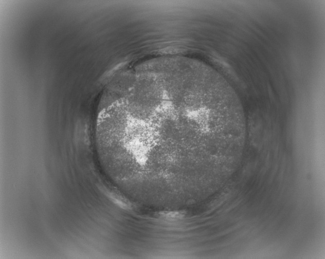 X0000061760161200512161753