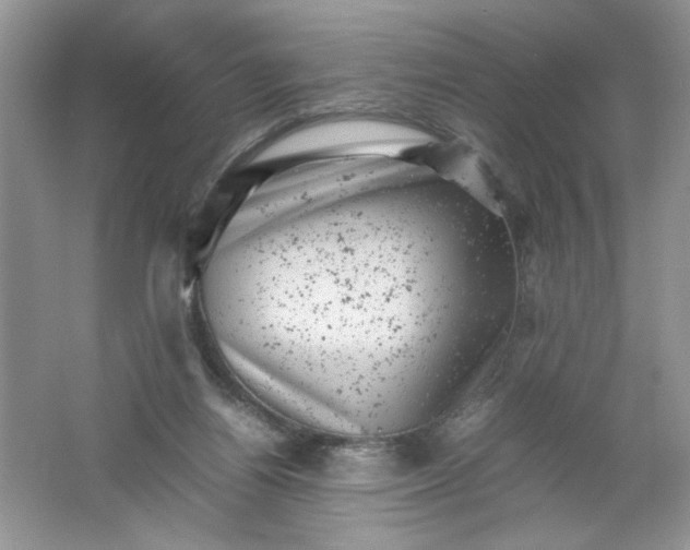 X0000061760164200512161753