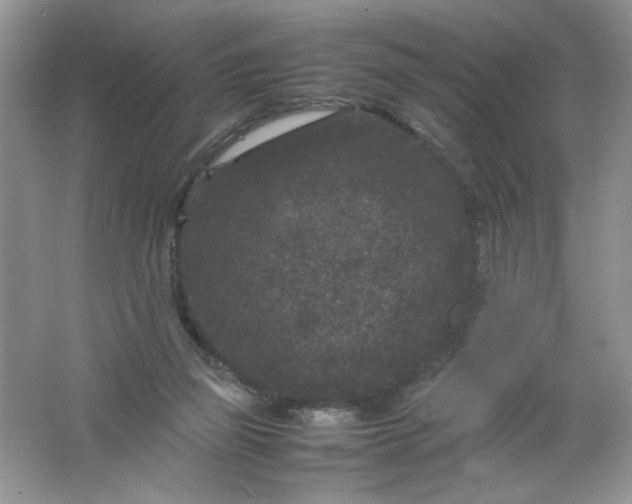 X0000061760165200512161753