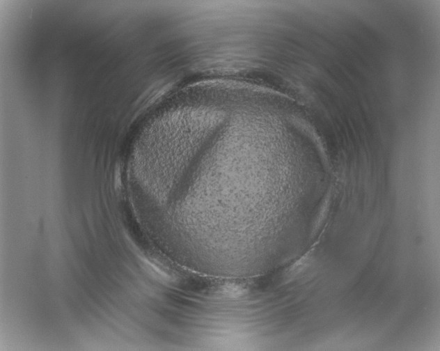 X0000061760166200512161753