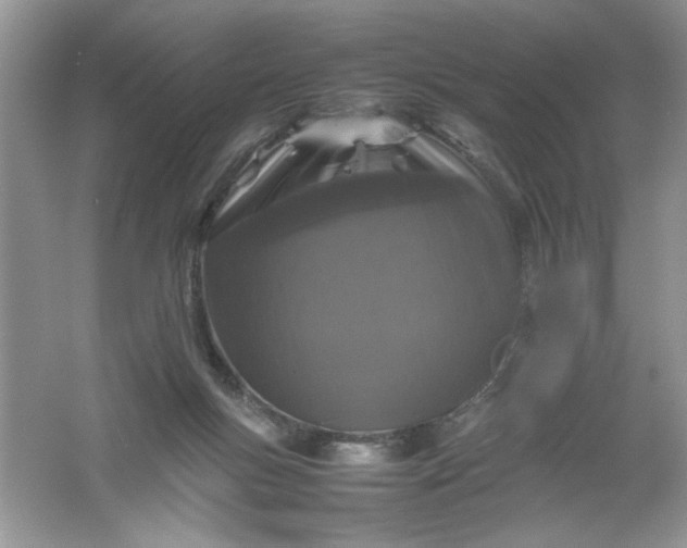 X0000061760167200512161753