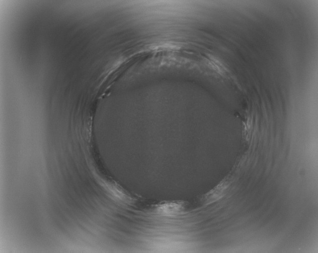 X0000061760168200512161753