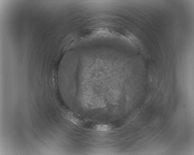 X0000061760169200512161753