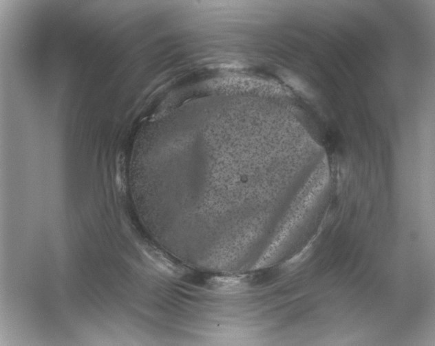 X0000061760170200512161753