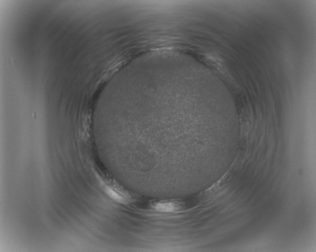 X0000061760171200512161753