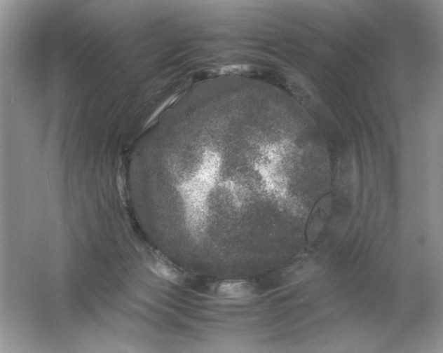 X0000061760173200512161753