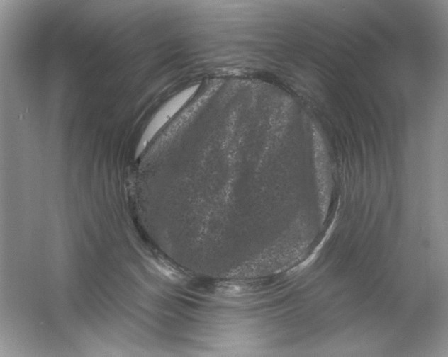 X0000061760174200512161753