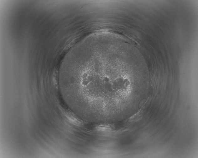 X0000061760175200512161753