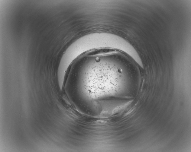 X0000061760176200512161753