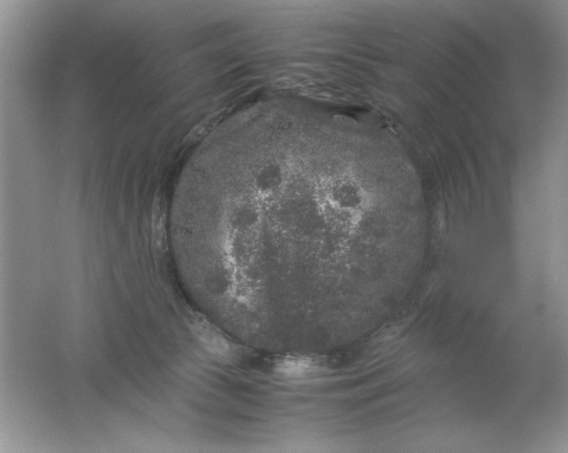 X0000061760177200512161753