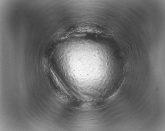 X0000061760178200512161753