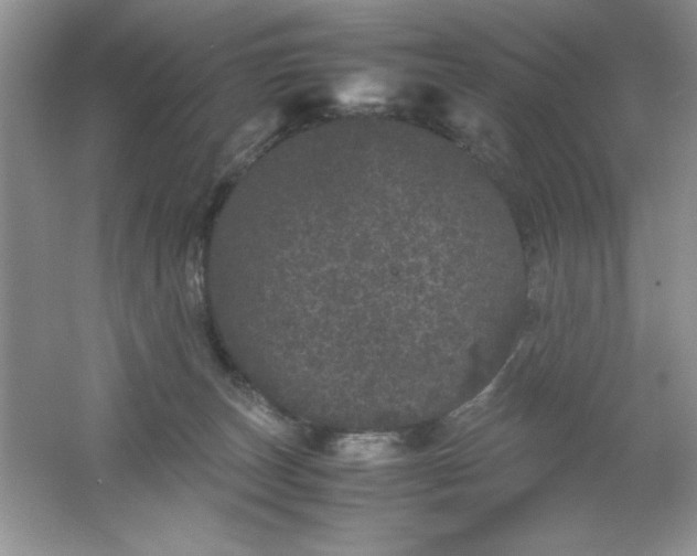 X0000061760179200512161753