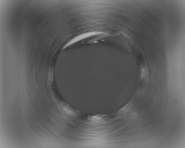 X0000061760180200512161753