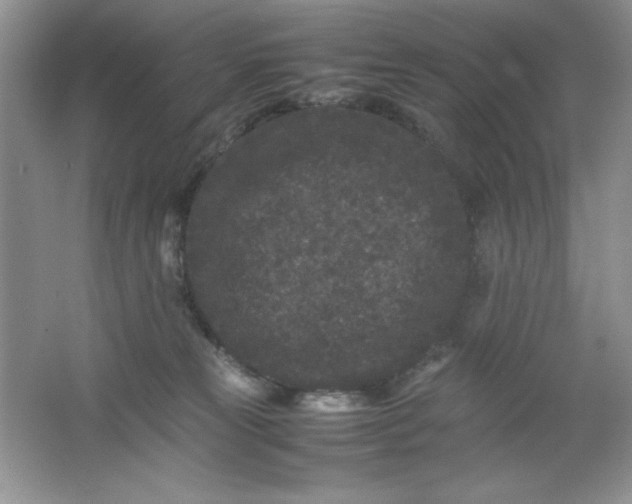 X0000061760181200512161753