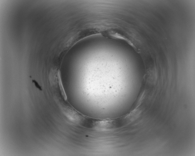 X0000061760184200512161753