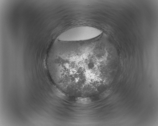 X0000061760185200512161753