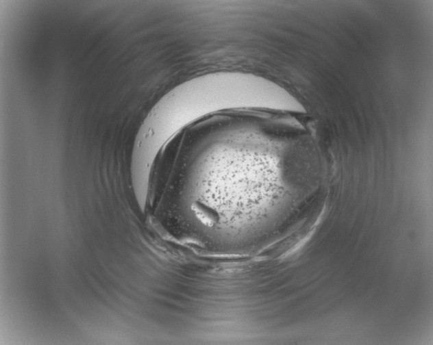 X0000061760186200512161753