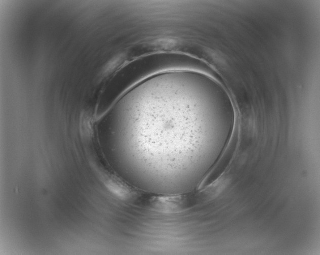 X0000061760188200512161753