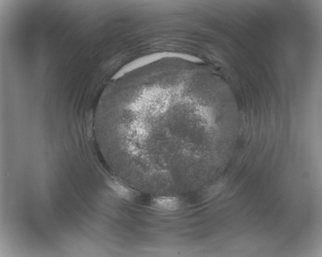 X0000061760189200512161753