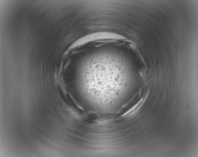 X0000061760190200512161753