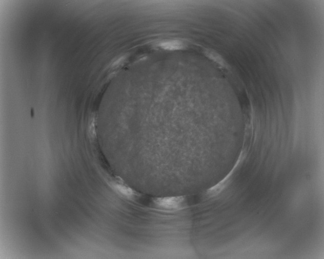 X0000061760191200512161753