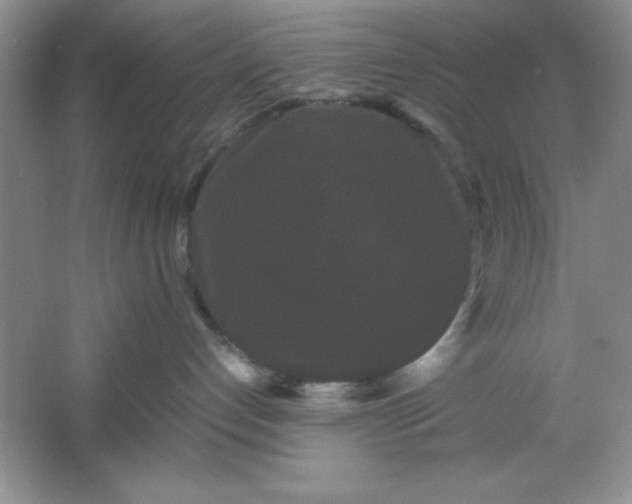 X0000061760192200512161753