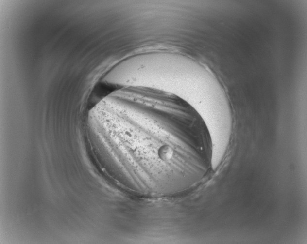 X0000061760193200512161752