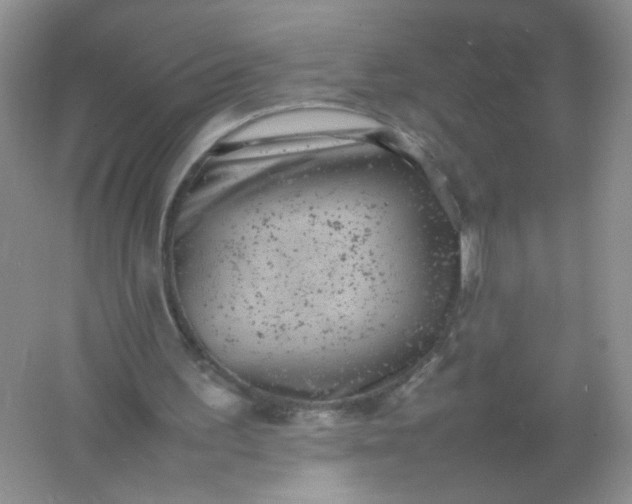 X0000061760195200512161752