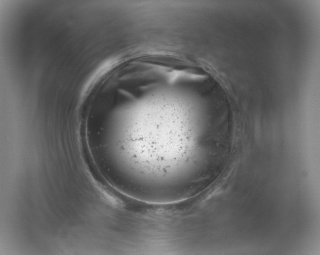 X0000061760197200512161752