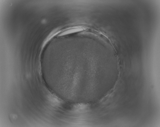 X0000061760198200512161752