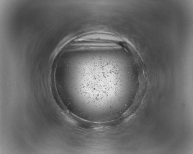 X0000061760199200512161752