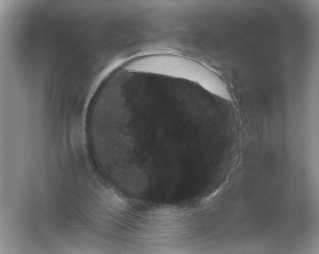 X0000061760200200512161752