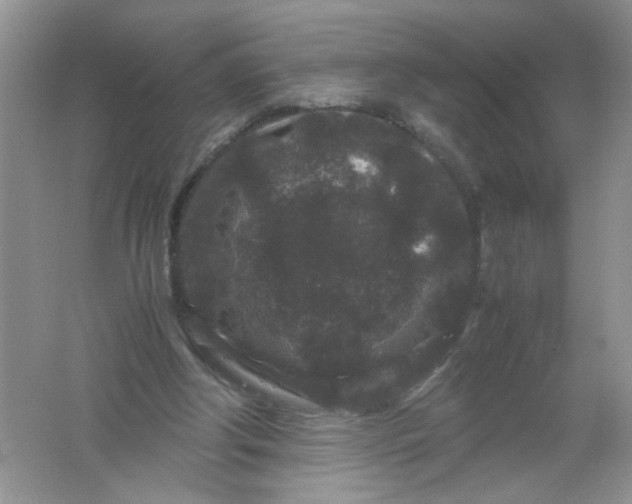 X0000061760202200512161752