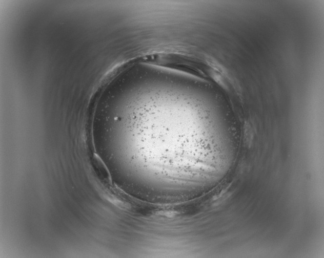 X0000061760203200512161752