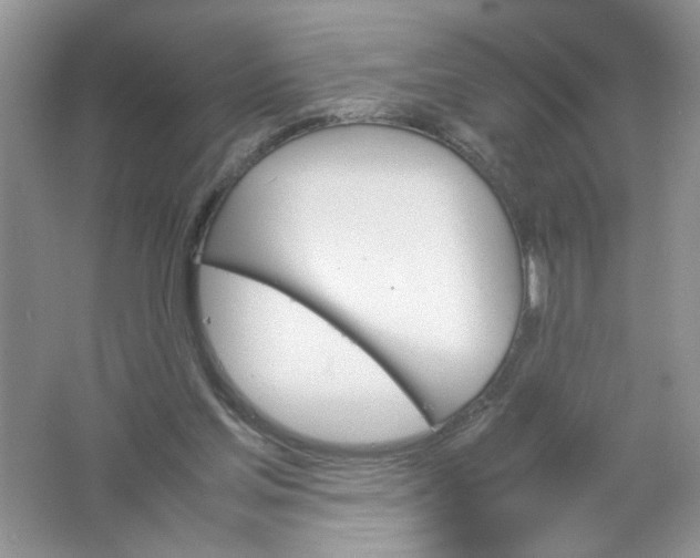 X0000061760205200512161752