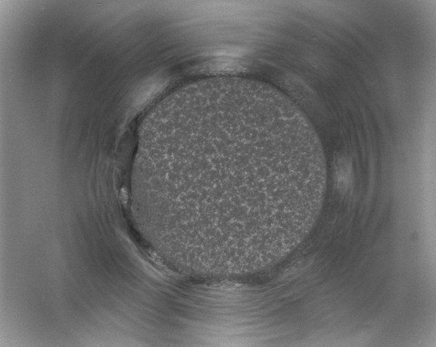 X0000061760206200512161752