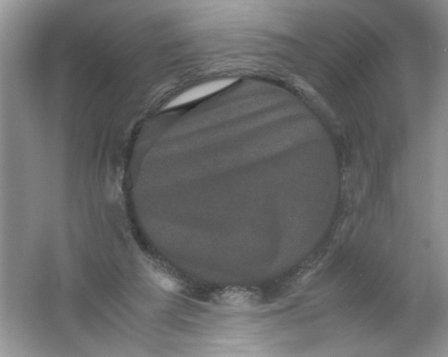 X0000061760209200512161752