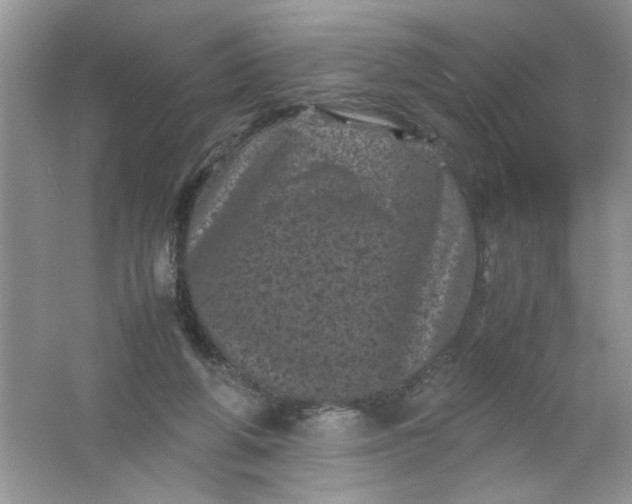 X0000061760210200512161752