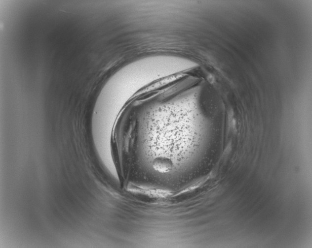 X0000061760211200512161752