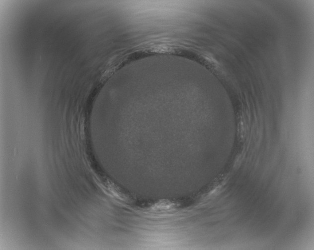 X0000061760213200512161752