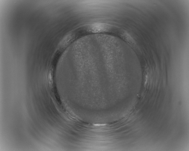 X0000061760214200512161752