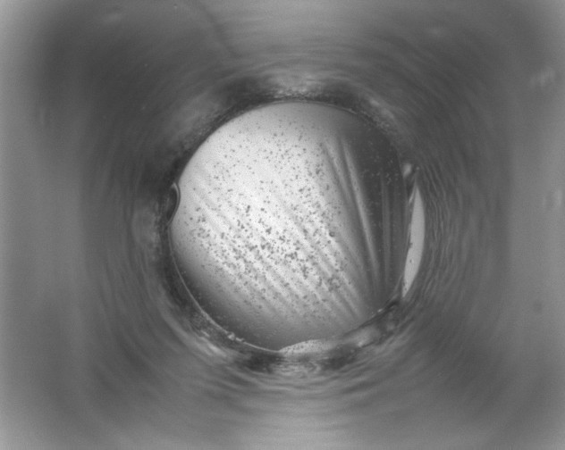 X0000061760215200512161752