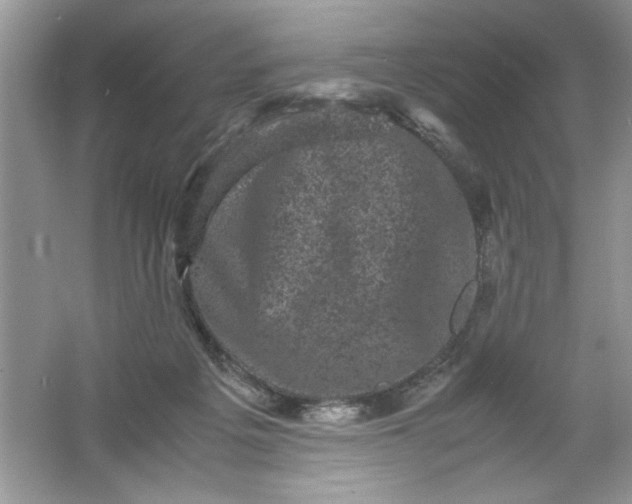 X0000061760217200512161752