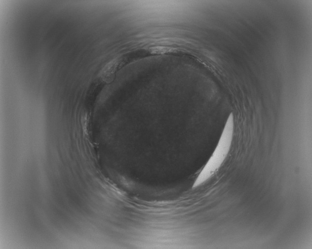 X0000061760219200512161752