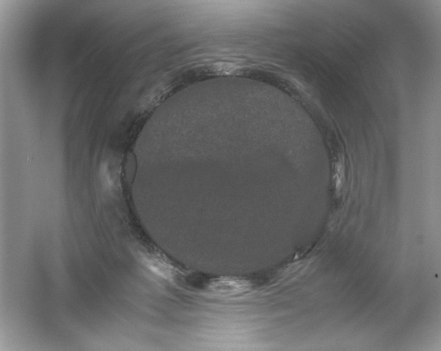 X0000061760221200512161752