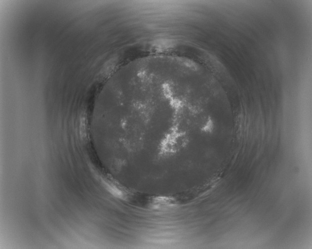 X0000061760222200512161752