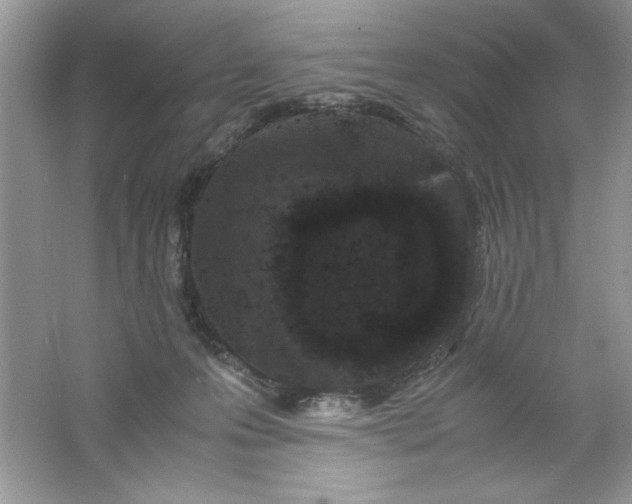 X0000061760223200512161752