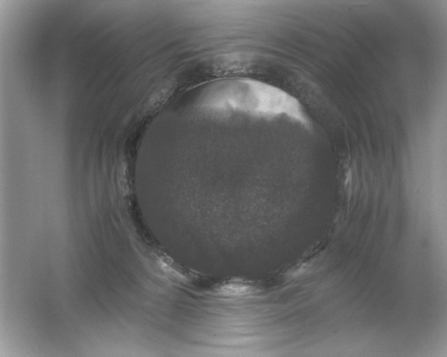 X0000061760224200512161752